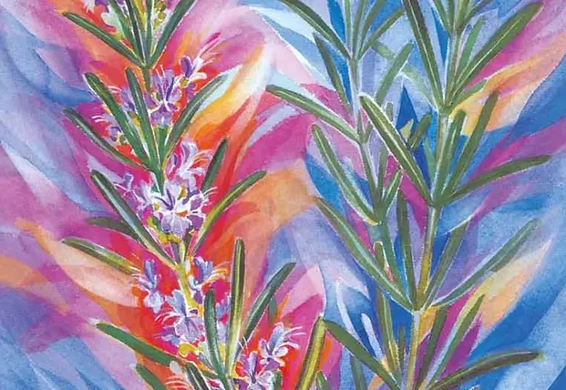 Aquarelle de branches de romarin en fleur, fond coloré